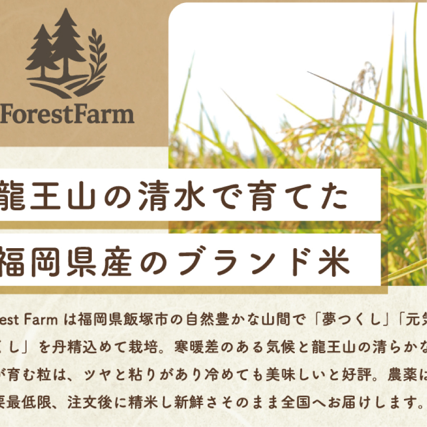 実績画像_チラシ